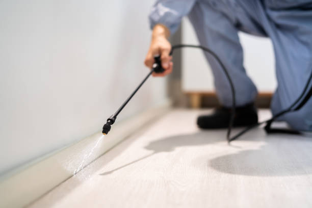 Pest Prevention Services in Rancho Murieta, CA